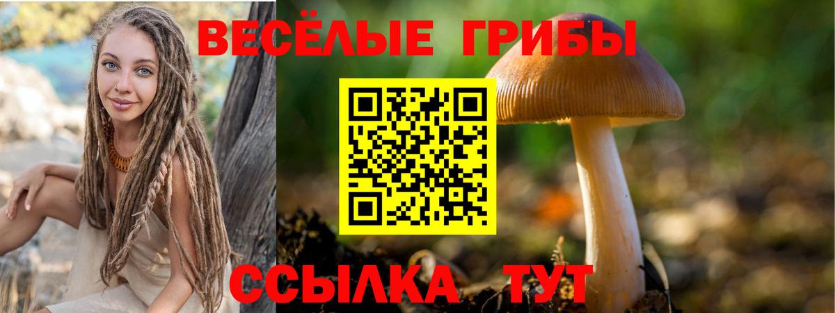 Галлюциногенные грибы мухоморы Люберцы